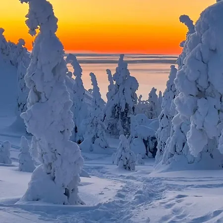 아파트 Skilodge Maentahti A 루카