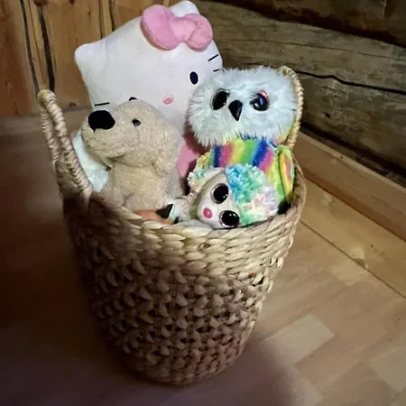 Skilodge Maentahti A 아파트 *