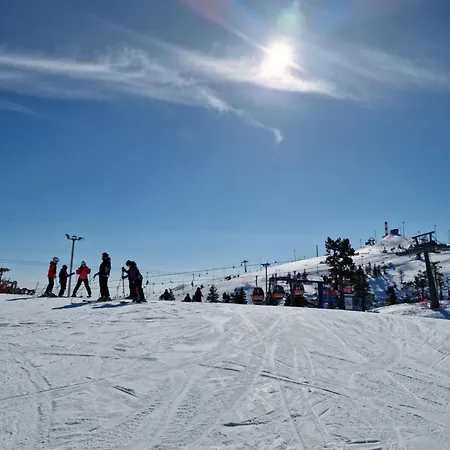 Skilodge Maentahti A Apartament *